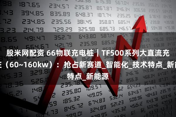 股米网配资 66物联充电桩｜TF500系列大直流充电桩（60~160kw）：抢占新赛道_智能化_技术特点_新能源